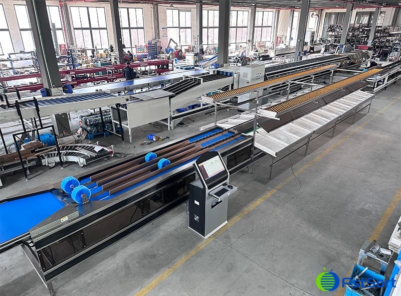 images/1735874034335Chinese Fertile Orange sorting machine.jpg